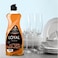 Loyal 5-in-1 Dishwashing Liquid 700ml- Coffee Beans, Tough on Stains, Malodor Control Technology