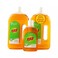 Taj Germ Protection Antiseptic Disinfectant Liquid- 2X750ml + 250ml