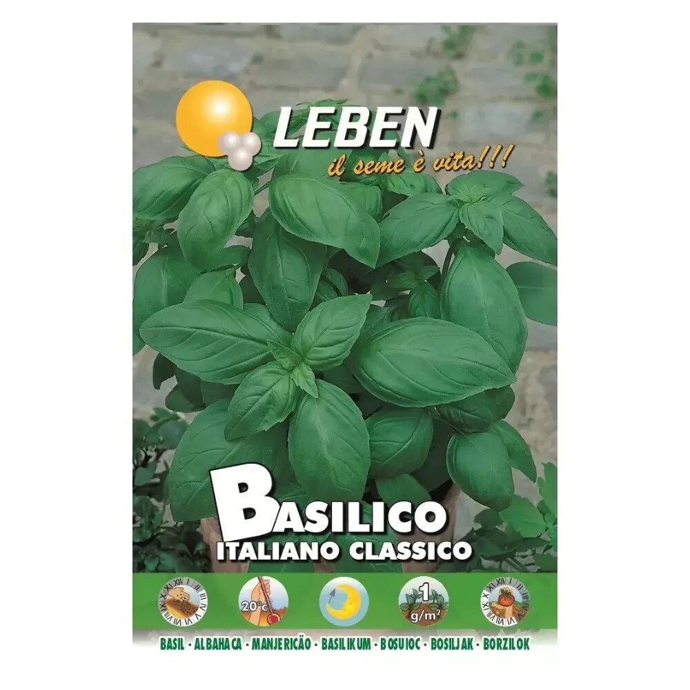 Buy Leben Basil Seeds Basilico Italiano Classico- 6Gms Online ...