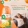 Air Wick Freshener Freshmatic Auto Spray Sparkling Citrus Gadget and Refill Eliminates Bad Odour like Cat Litter Smell 250 ml