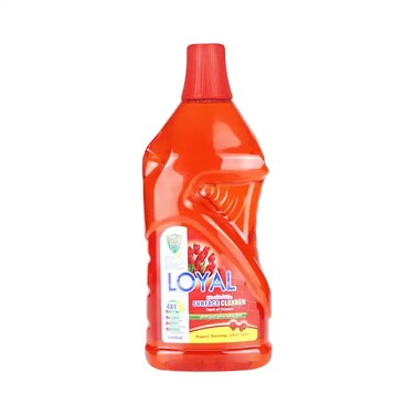 Loyal Surface Cleaner Feast of Flowers Disinfectant Liquid- 2400ml