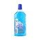 Loyal Surface Cleaner with Seaside Breeze Fragrance- 800ml