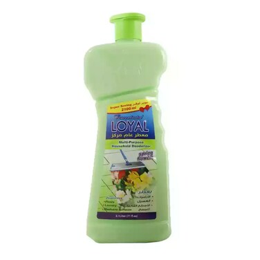 Loyal Concentrated Multi-Purpose House Deodorizer With Spring Flowers Fragrance- 2100ml