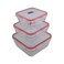Clear Plastic Eco Friendly Anti Leakage Food Container With Airtight Lids Red- 3Pcs Set