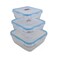 Anti Leakage Clear Plastic Food Container Blue With Airtight Lid Eco Friendly- 3Pcs Set