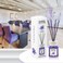 Eyfel Reed Diffuser Lavender Perfume Aroma Home Fragrance- 120Ml