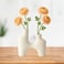 Modern Decorative Ceramic Flower Vases And Planters In Two Vase Attached Design- White