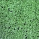 Msa 12Mm Artificial Grass Designed Carpet- 25X25Cm