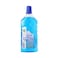 Loyal Surface Cleaner with Seaside Breeze Fragrance- 800ml
