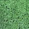 Msa 12Mm Artificial Grass Designed Carpet- 25X25Cm