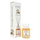 Eyfel Reed Diffuser Orange Blossom Fragrance With Sticks Liquid Home Fragrances- 120Ml