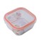 Square Heat Resistant Borosilicate Glass Lunch Box With Anti-Leak Lid- 520ml