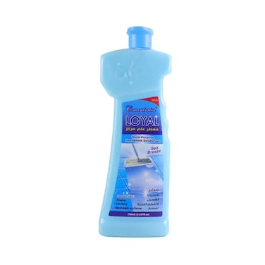 Loyal Concentrated Multi-purpose Household Deodorizer with Sea Breeze Fragrance- 700ml