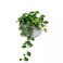 Wall Pot Vertical Garden Dwelling Wall Mount Window Hang Indoor Out Of Doors Plant Flower Basket For Kitchen Herbs Balcony Railing Shelf