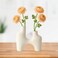 Modern Decorative Ceramic Flower Vases And Planters In Two Vase Attached Design- White