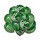 Party Time Marble Green Balloons 12 Pcs Agate Design Latex Balloon Set Can Inflate 12 Inches, Decoration For Wedding, Birthday Party, Events Pack Of 3