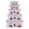 Plastic Food Grade Food Storage Box Food Containers In Different Sizes- 5Pcs