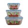 Anti Leakage Clear Plastic Food Container Blue With Airtight Lid Eco Friendly- 3Pcs Set