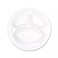 Ecno Pack Divider Plate Disposable Round Foam Food Serving Plates 10 Inch- 25 Pieces