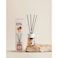 Eyfel Reed Diffuser - Peach 120 ml