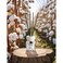 Eyfel Reed Diffuser Cotton- 120ml