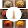 Billi Wooden Pepper Grinder Beige WA-Gr6