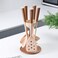 Royalford 6 Pieces Nylon Cooking Kitchen Tools RF12582 Nonstick Cookware Utensils Set