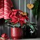 Christmas Plant Pot In/Outdoor/Red 12 Cm