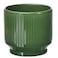 Christmas Plant Pot In/Outdoor/Green 15 Cm