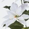 Christmas Artificial Potted Plant In/Outdoor Poinsettia/White 12 Cm