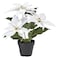 Christmas Artificial Potted Plant In/Outdoor Poinsettia/White 12 Cm