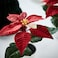 Christmas Artificial Potted Plant In/Outdoor Poinsettia/Red 6 Cm