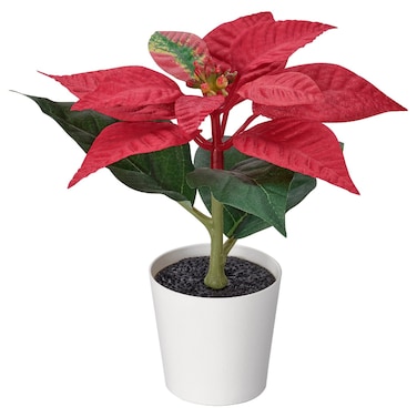 Christmas Artificial Potted Plant In/Outdoor Poinsettia/Red 6 Cm