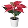 Christmas Artificial Potted Plant In/Outdoor Poinsettia/Red 6 Cm