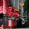 Christmas Plant Pot In/Outdoor/Red 12 Cm