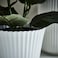 Christmas Plant Pot White 12 Cm