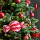 Christmas Tree Ornament Candy 3 Pack