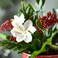 Christmas Artificial Potted Plant In/Outdoor Arrangement 12 Cm