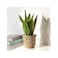 Plant Pot Handmade Bamboo 12cm