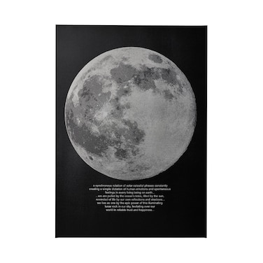 Picture Moonlight 50X70cm
