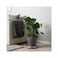 Plant Pot Dark Grey 19cm