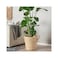 Plant Pot Banana Fibre Handmade 32cm