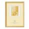 Elegant Golden Wooden Photo Frame For A4 Size Photo With Real Glass- 25X34Cm