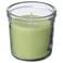 Scented Candle In Glass Apple/Light Green 20 Hr