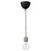 Pendant Lamp With Light Bulb Nickel-Plated/Globe Clear