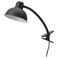 Clamp Spotlight Black