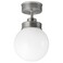 Ceiling Lamp Stainless Steel Colour