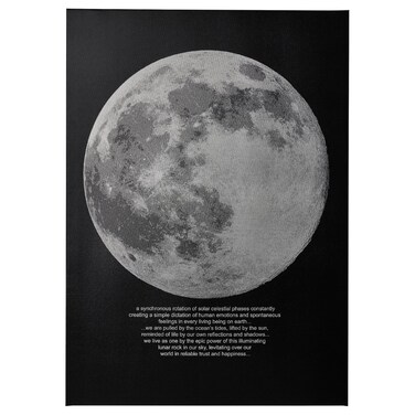 Picture Moonlight 50X70 Cm