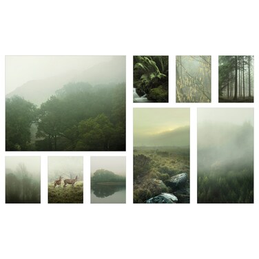 Picture Set Of 9 Mist In The Forest 179X112 Cm