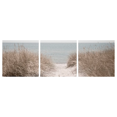 Picture Swedish Sand Dunes 56X56 Cm 3 In Pack